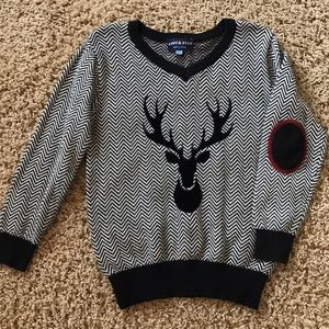 Fun and playful youth boys sweater